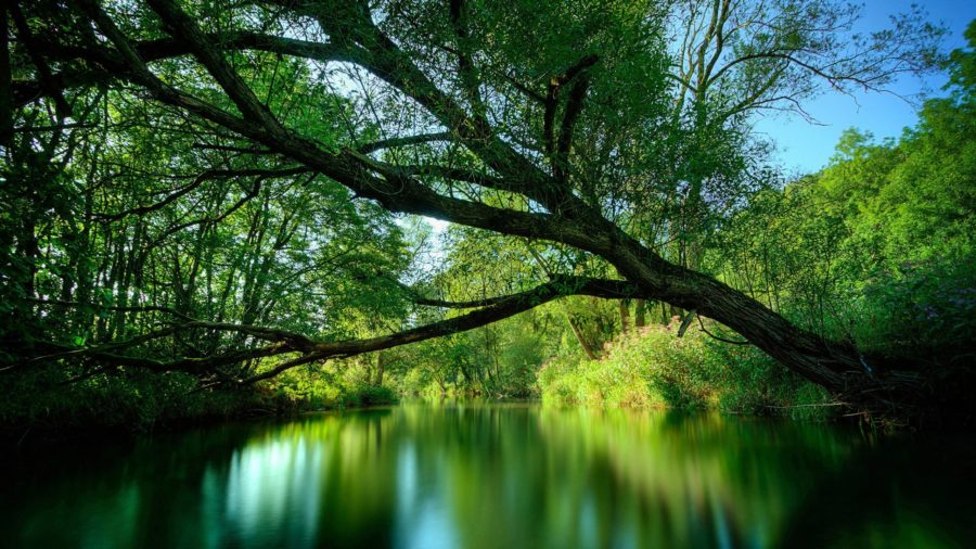 Tzvetina Dusha, Vahdat, Davam